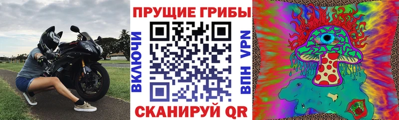 купить закладку  Аркадак  Галлюциногенные грибы Psilocybe 